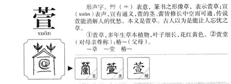 萱名字意思|萱的解释